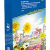 Blumenmischung Riesenmischung Für 30 M² | Blumensamenmischung Von Kiepenkerl 2 Blumenmischung Riesenmischung Für 30 M² | Blumensamenmischung Von Kiepenkerl -Pegasu Samen Geschaft 559305 Blumenmischung Riesenmischung fuer 30 m 4997 0