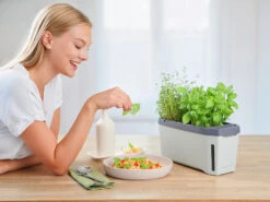 HARRY HERBS Kräutertopf Hellgrau | Kräutertöpfe Von Gusta Garden -Pegasu Samen Geschaft 560334 HARRY HERBS hellgrau 100B10 gg 7