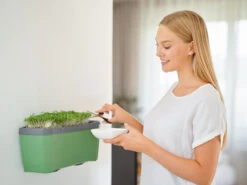 HARRY HERBS Kräutertopf Dunkelgrün | Kräutertöpfe Von Gusta Garden 17 HARRY HERBS Kräutertopf Dunkelgrün | Kräutertöpfe Von Gusta Garden -Pegasu Samen Geschaft 560338 HARRY HERBS dunkelgruen 103B10 gg 4