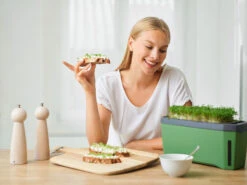 HARRY HERBS Dunkelgrün Ohne Haube | Kräutertöpfe Von Gusta Garden -Pegasu Samen Geschaft 560339 HARRY HERBS dunkelgruen ohne Haube 103B20 gg 5