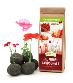 Samenbomben Die Mohnlandschaft (6 Stück) | Mohnsamen Von FLORTUS -Pegasu Samen Geschaft 562163 Samenbomben Die Mohnlandschaft 6 Stueck 2000 1054 1