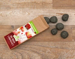 Samenbomben Die Mohnlandschaft (6 Stück) | Mohnsamen Von FLORTUS -Pegasu Samen Geschaft 562163 Samenbomben Die Mohnlandschaft 6 Stueck 2000 1054 3