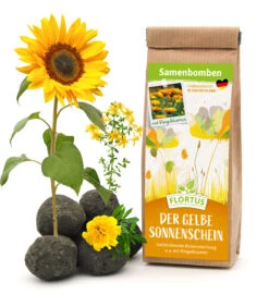 Samenbomben Der Gelbe Sonnenschein (6 Stück) | Blumensamenmischung Von FLORTUS -Pegasu Samen Geschaft 562164 Samenbomben Der Gelbe Sonnenschein 6 Stueck 2000 1055 1