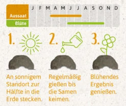 Samenbomben Der Gelbe Sonnenschein (6 Stück) | Blumensamenmischung Von FLORTUS -Pegasu Samen Geschaft 562164 Samenbomben Der Gelbe Sonnenschein 6 Stueck 2000 1055 4