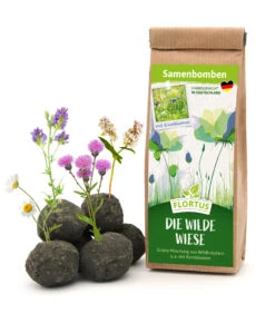 Samenbomben Die Wilde Wiese (6 Stück) | Wildblumenwiese Von FLORTUS -Pegasu Samen Geschaft 562168 Samenbomben Die wilde Wiese 6 Stueck 2000 1059 1