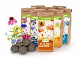 Samenbomben Set (8 Päckchen) | Blumensamenmischung Von FLORTUS -Pegasu Samen Geschaft 562498 Samenbomben Set 8 Paeckchen 2000 2367 1