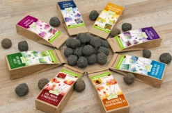 Samenbomben Set (8 Päckchen) | Blumensamenmischung Von FLORTUS -Pegasu Samen Geschaft 562498 Samenbomben Set 8 Paeckchen 2000 2367 3