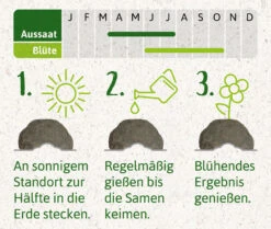 Samenbomben Set (8 Päckchen) | Blumensamenmischung Von FLORTUS -Pegasu Samen Geschaft 562498 Samenbomben Set 8 Paeckchen 2000 2367 4