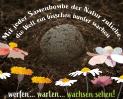 Samenbomben Set (8 Päckchen) | Blumensamenmischung Von FLORTUS -Pegasu Samen Geschaft 562498 Samenbomben Set 8 Paeckchen 2000 2367 7 1
